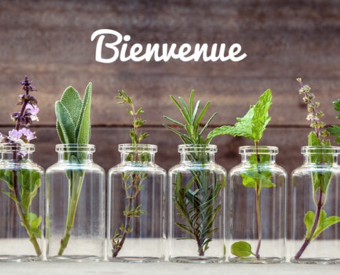 Bienvenue sur le blog de Panacea Pharma